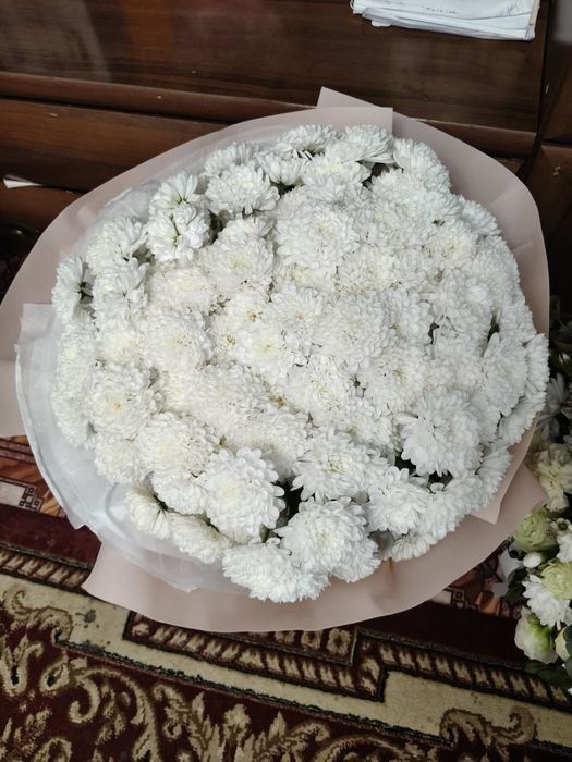 Срочно продам цветы, вчера подаренные