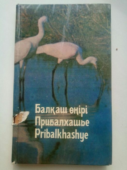 Прибалхашье.