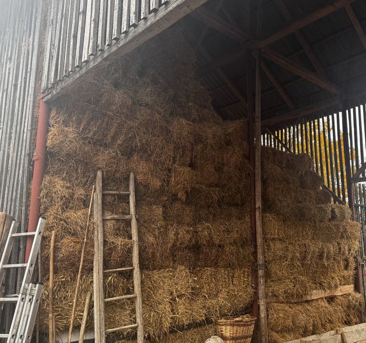 Vand baloti fân si otavă