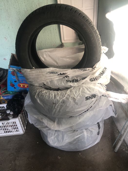 Трианджила Шины с шипами