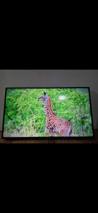 Смарт TV Haier 43дюм 109см