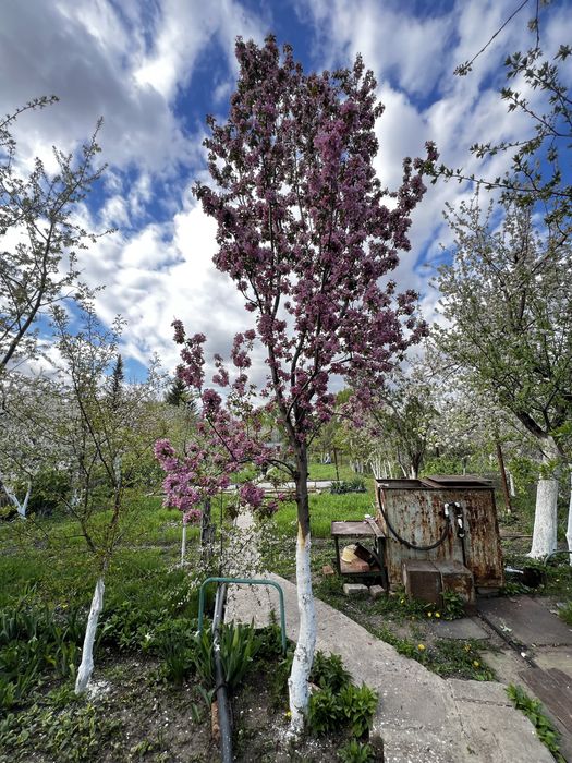 СРОЧНО!!!Продам дачу мечты