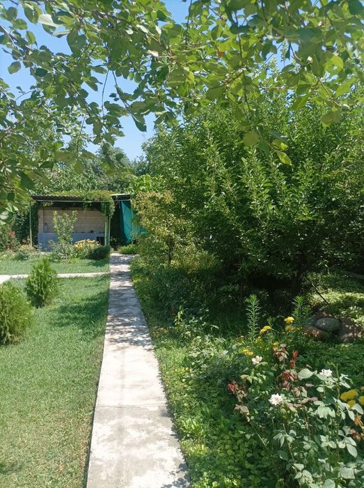 Срочно Продаётся Дача