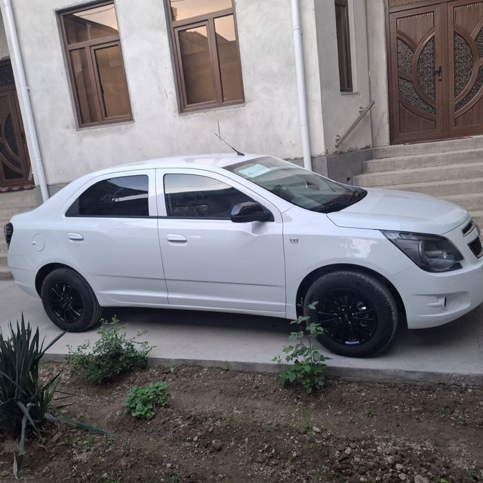 ‼️Midnicht Cobalt Masla‼️Srochna msm&mcm