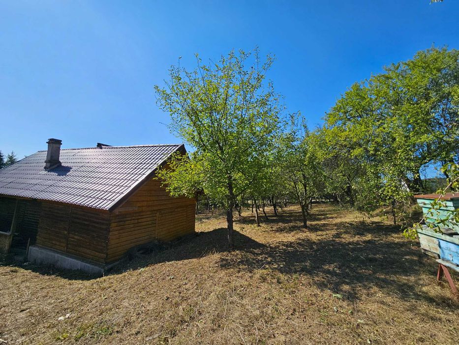 Teren si cabana de vacanta de vânzare in Fedelesoiu la 60.000