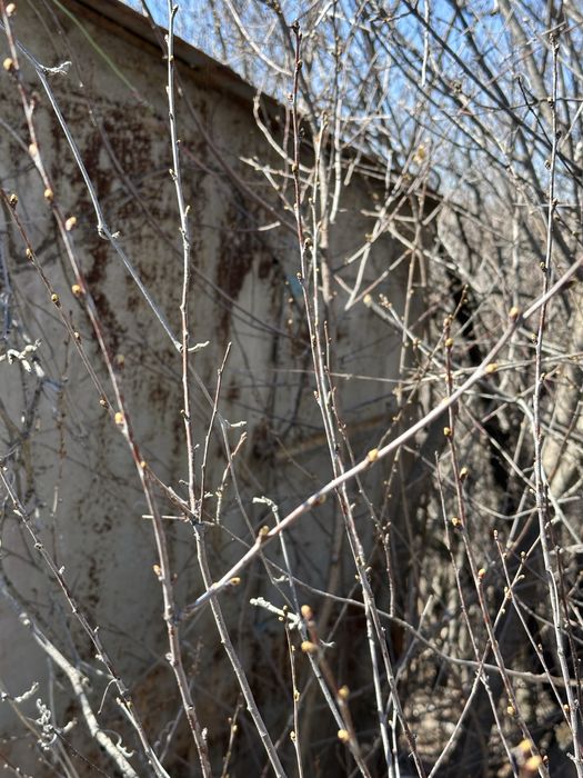 Продам контейнер