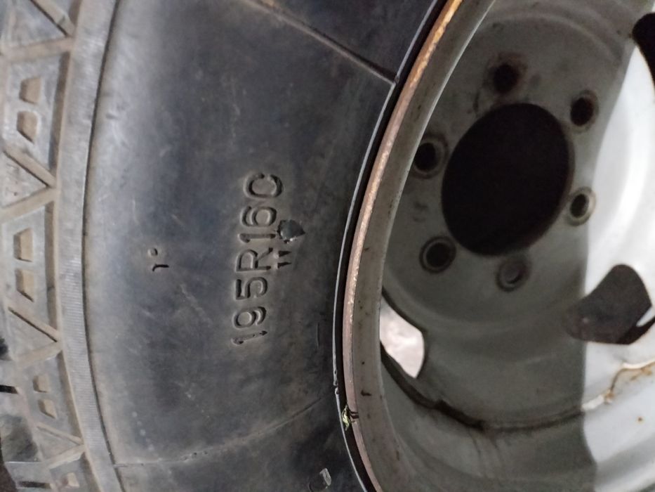 Шина      Зимния