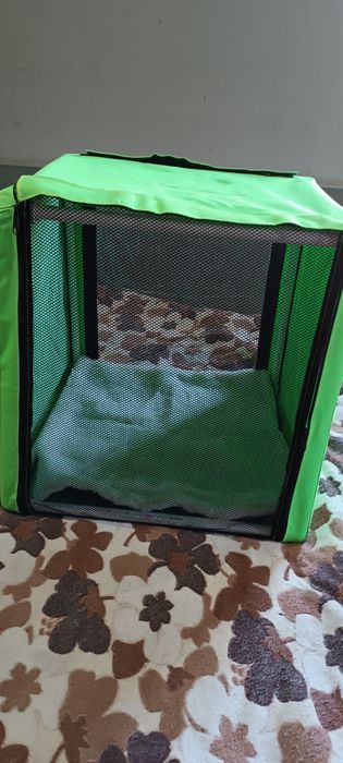 Продается палатка для кошек