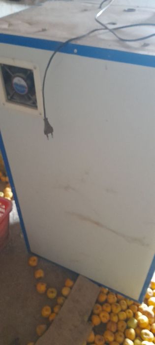 Inkubator sotiladi holati yangi