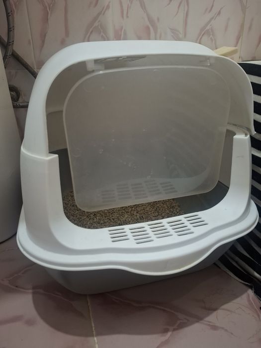 Мысык сатылады 10000