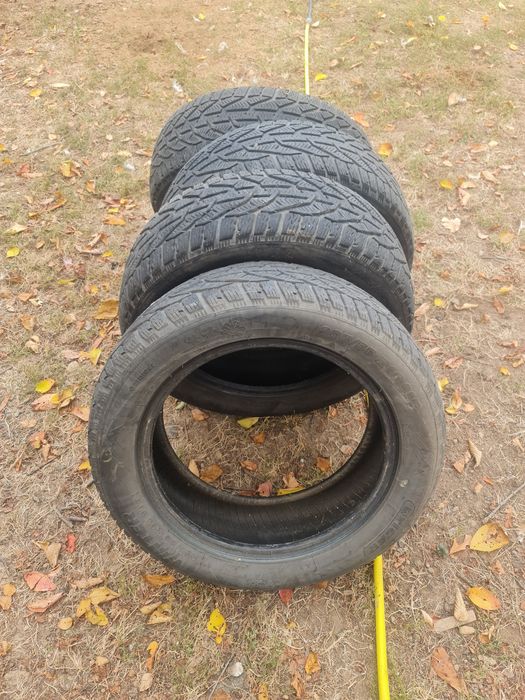 Cauciucuri de iarna 205/55 R16