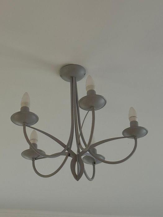 4lustre  argintii
