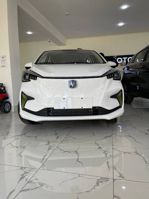 Changan BENBEN 100%elektro