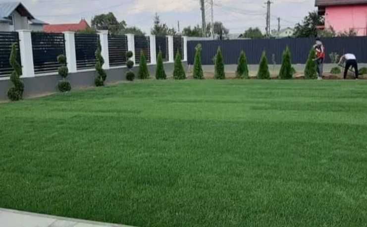 Grădina Ta Merită un Gazon Rulou Premium