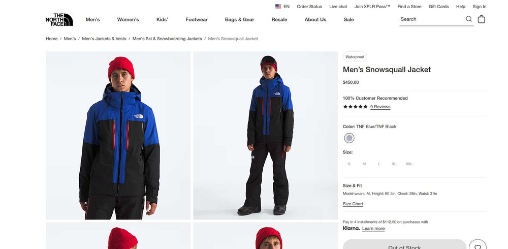 Горнолыжная куртка The North Face