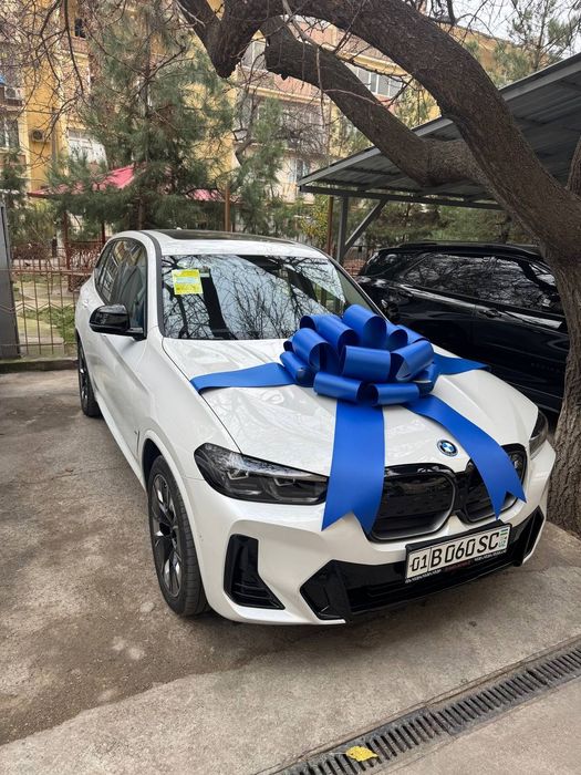 Bantik,lenta,Avtobantik,lenta бант для машины