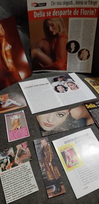 Colectie de articole cu Delia Matache