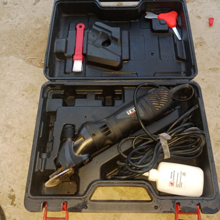 Қой қырықтығы сатылады