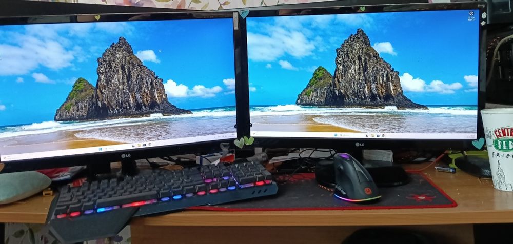 Set monitoare LG 23MP48HQ