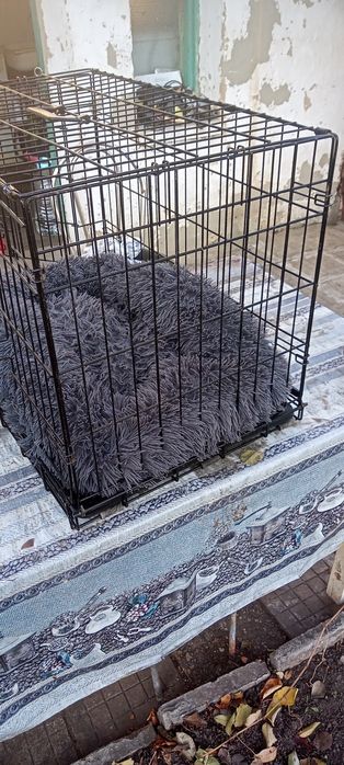 Метална клетка за куче
