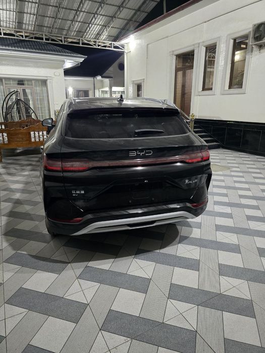 Bvd song plus chempion