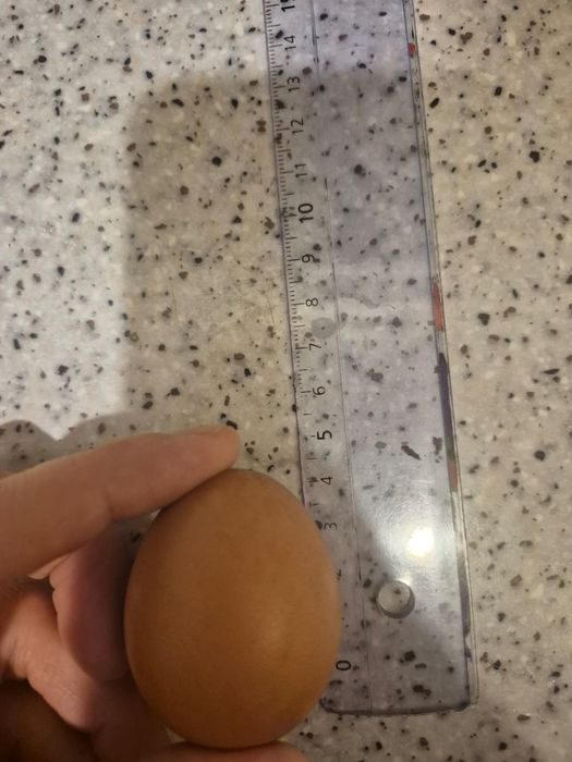 Продам яйца 550 тг