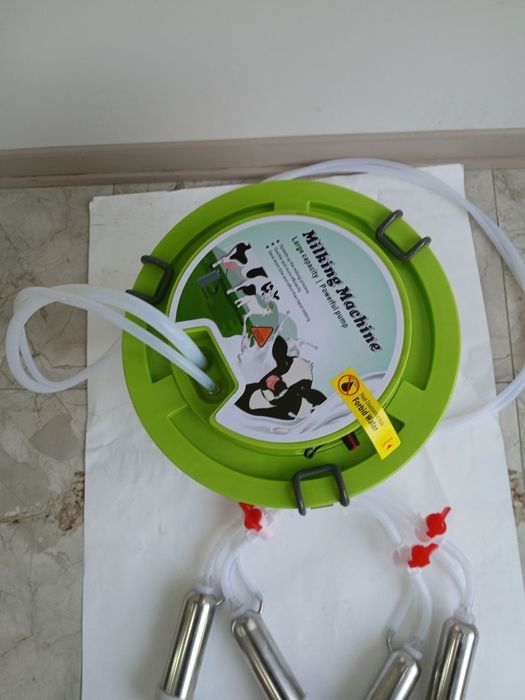 Sigir sogadigan apadat