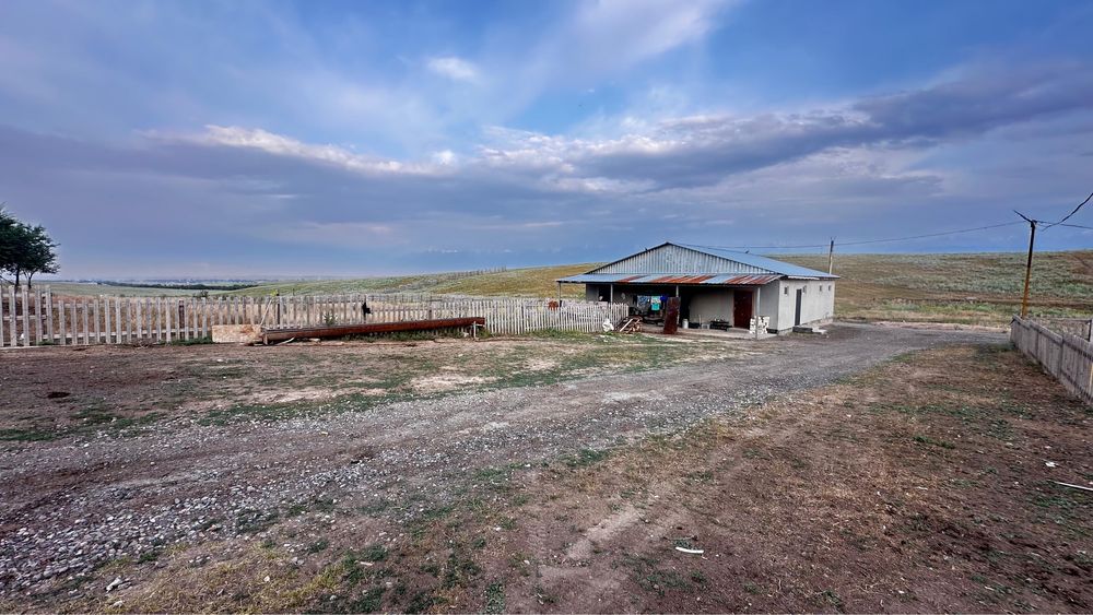 Фазенда для КРС и птицы