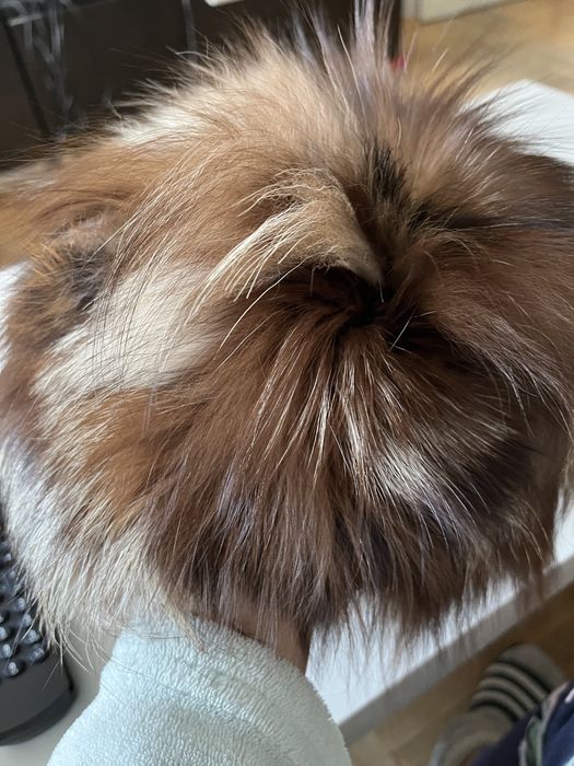 Шапка от лисица