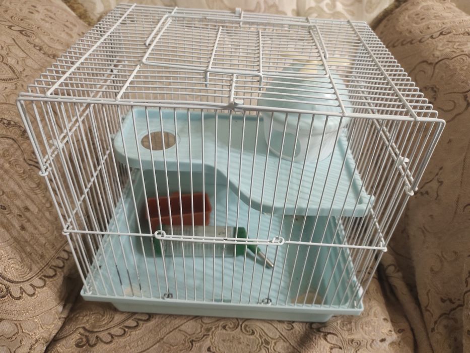 клетки для хомяка