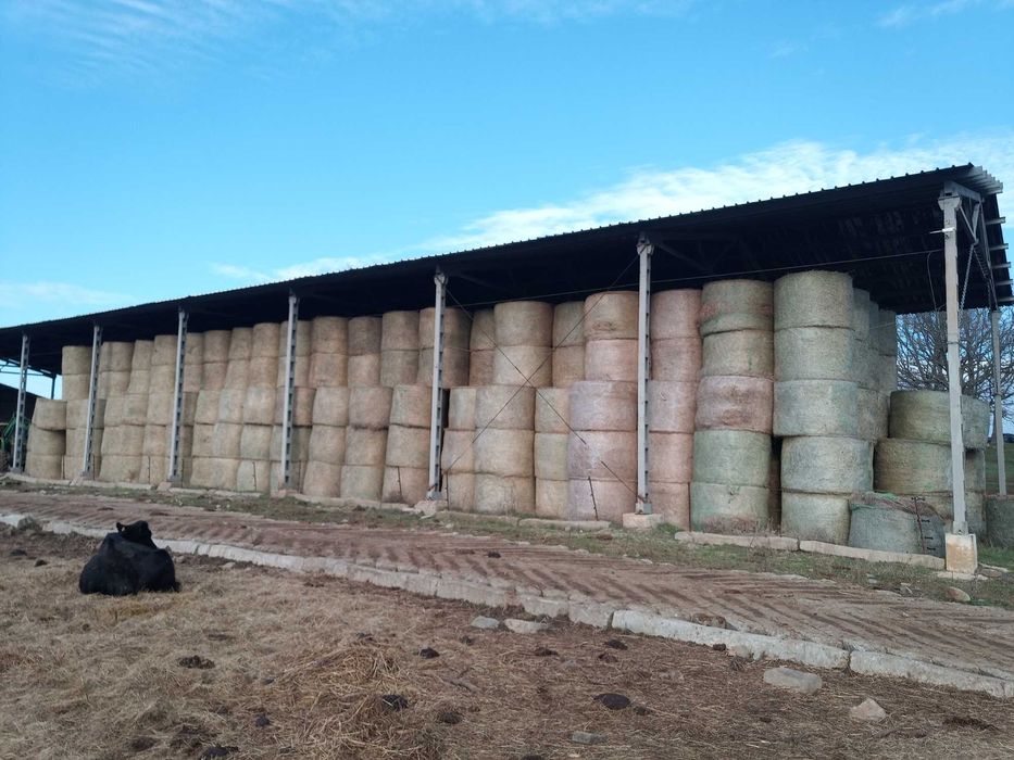 Продава се Промишлена сграда в с. Момина църква, Област Бургас - 41000 кв.м за 49 €/кв.м - Снимка #1