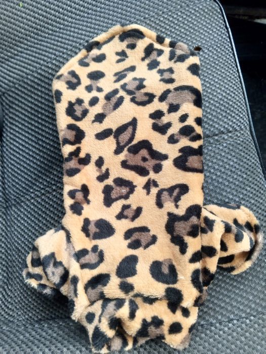 Одежда для котят xs