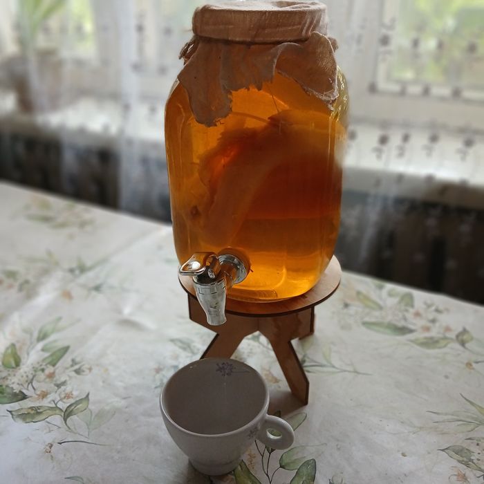 Чайный гриб(комбуча)