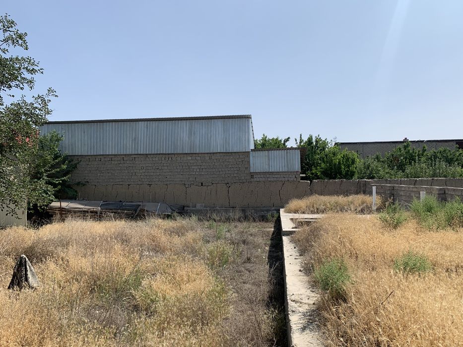 Ер сотилади: Самарканд колхоз победа