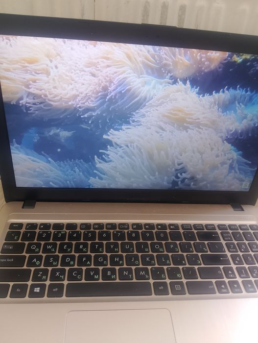Asus Asus Asus asus