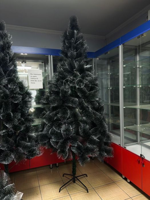 Ёлки в Астане,доставка/самовывоз
