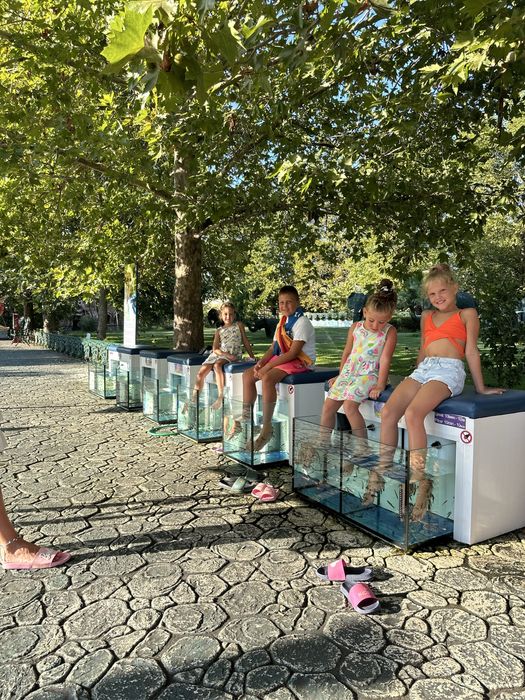 Аквариуми за Гара Руфа