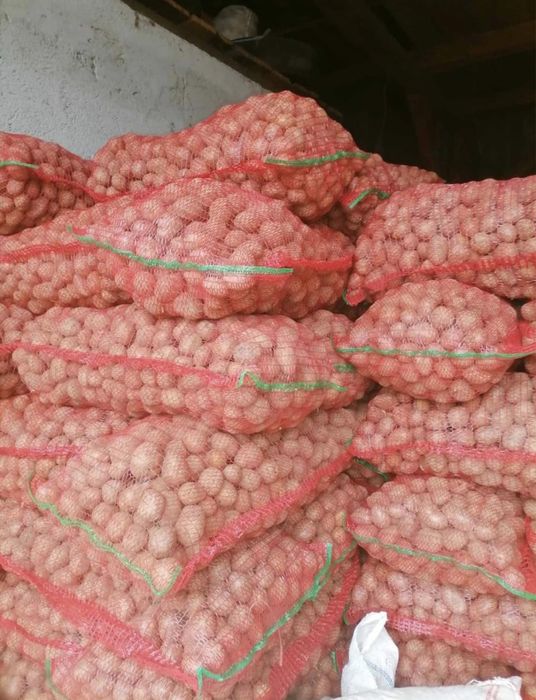 Vând Cartofi de sămânță!