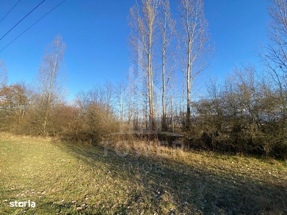 Teren de 7.500 mp de vânzare în Bradu, Avrig-COMISION 0% – lângă râul