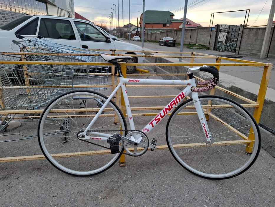 Фикус Тсунами снм 100