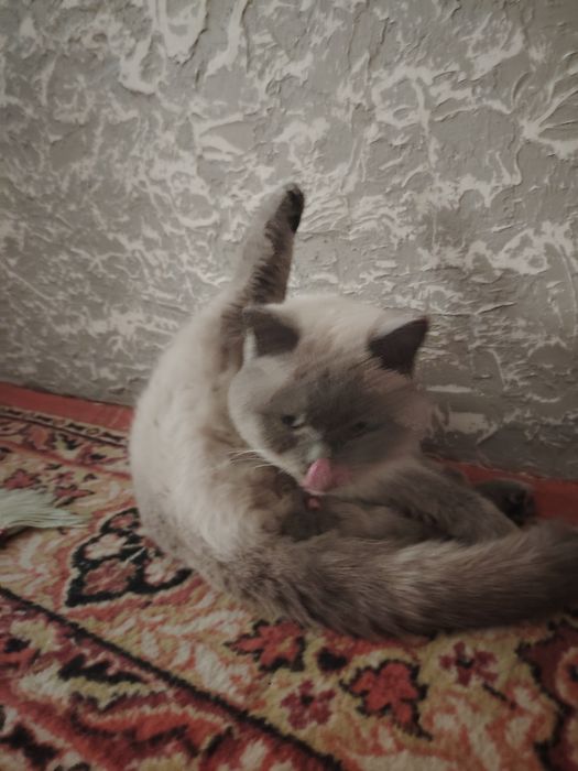 Вязка,Зот олиш,сотилмайди.