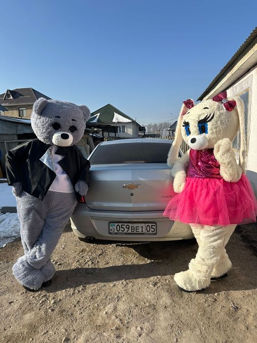 Мишка Тедди и Зайка на прокат