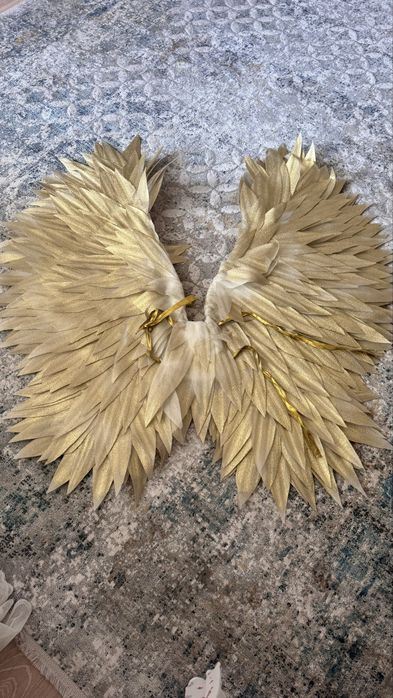 Сдам в аренду крылья, корона