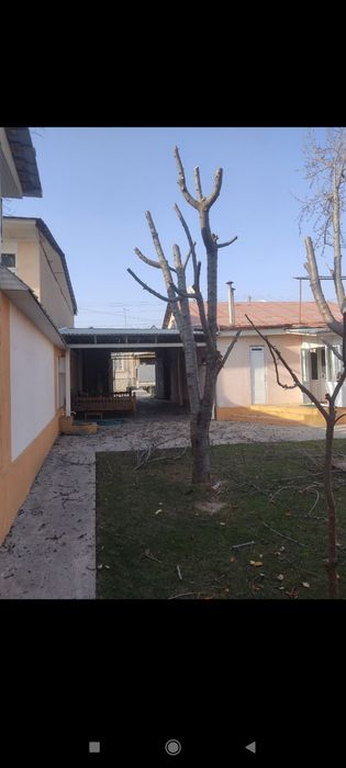 Archalar ekish dorilash kesish xizmati