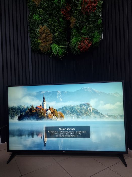 Noble Amanet - Televizor Smart, 4K, LG 49UK6200PLA, 49 inch, 123cm