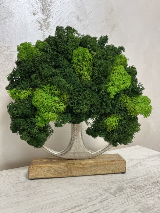 Скандинавски мъх,декорации,подаръци