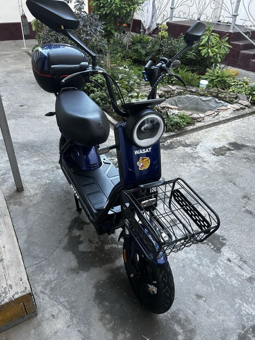 wasat elekrot mott