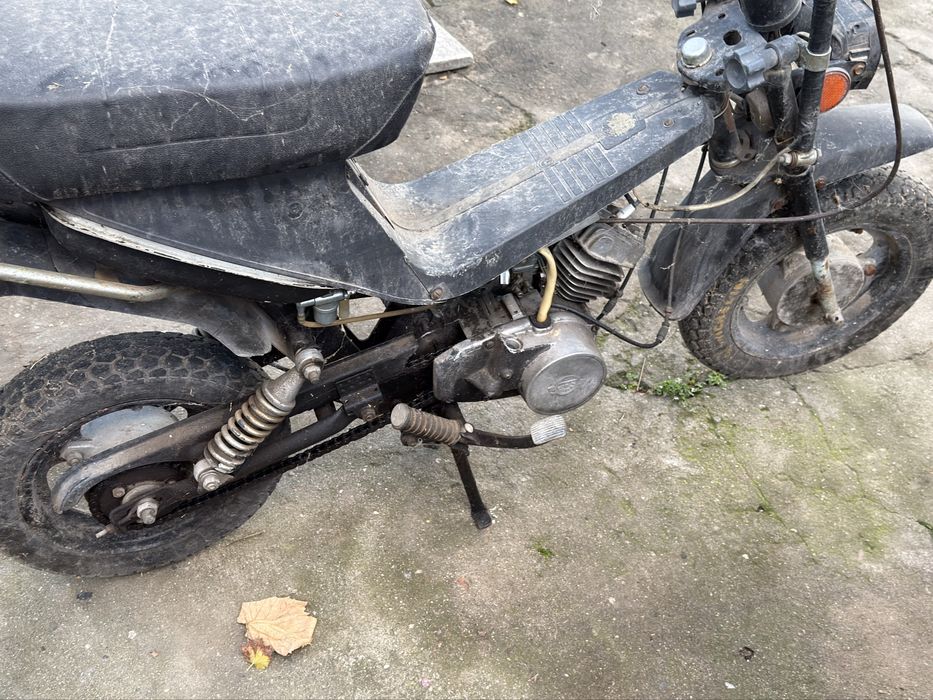 Карпати 50 перфектно