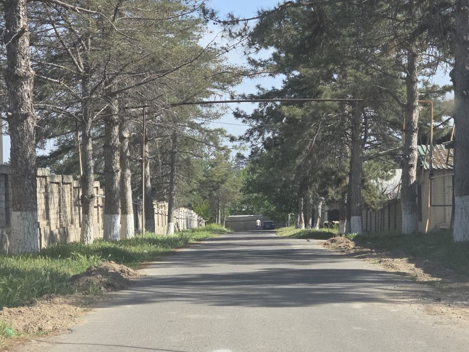 Xasanboy postidan kiriladi kensoyda nahtga sotiladi