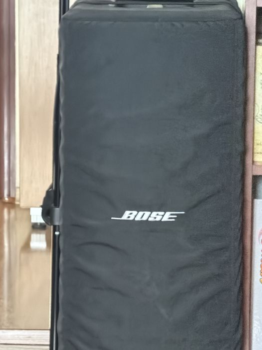 Bose Sub 2 inca